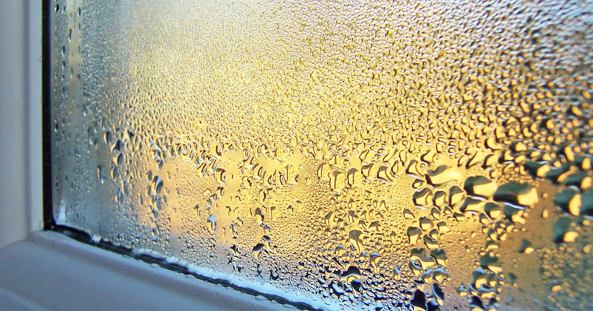 Cold but Clammy: Why Commercial Buildings Feel Humid in July